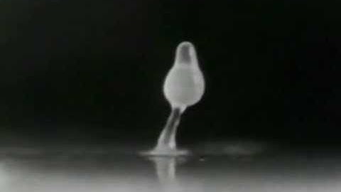 A Simple Mechanism for Complex Social Behavior