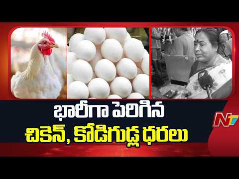 Chicken & Egg Prices Increasing in Telugu States | Special Report | NTV Telugu - NTVTELUGU