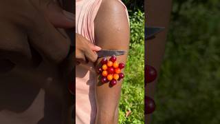 Part 39 ❇️ Survival Skills: forest survival and useful idea #camping #outdoors #survival #shorts