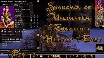 Neverwinter Nights Enhanced Edition Shadows of Undrentide Chapter 1 Hilltop East
