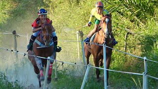 PANDORA  vs XERIFE - Desafio - Corrida de cavalos