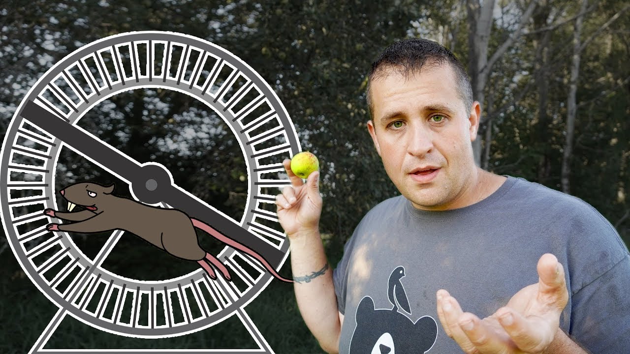 A Plan to Escape the Rat Race