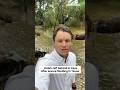Debris left behind in trees after severe flooding in Texas #shorts