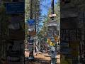 Exploring the Enchanting Signpost Forest of Watson Lake, Yukon! #WatsonLake #SignpostForest #yukon