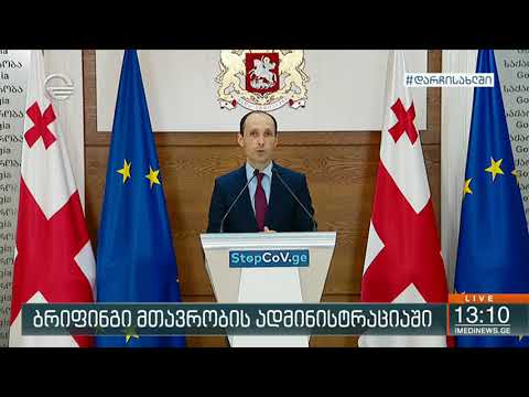 ლევან დავითაშვილის ბრიფინგი