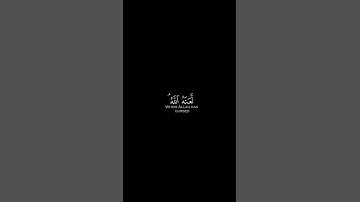إن يدعون من دونه إلا إناثًا | كرومات قرآن كريم بصوت #ياسر_الدوسري | #سورة_النساء