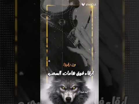 يقول لا تغرك طيبتي ترا راسي عنيد تصميمي بدون موسيقى ترند لايك اكسبلور حالات واتس