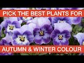 Pick the best plants for autumn  winter colour