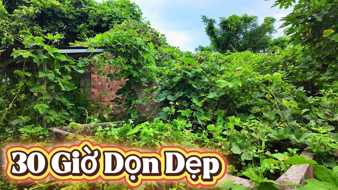 4 Ngày, 30 giờ Biến Đổi Một Ngôi Nhà Chết Trở Về Với Cuộc Sống Thoả Mãn Trong 20 Phút Tua Nhanh