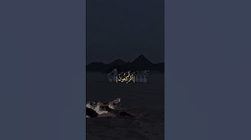 سورة التوبة الآية 112 #القرآن_الكريم #سورة_التوبة