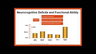 Improving Functioning in Schizophrenia? Meet the Scientist Webinar