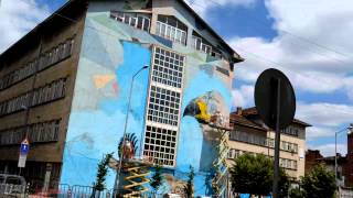 Save the Raptors Mural making of.mp4