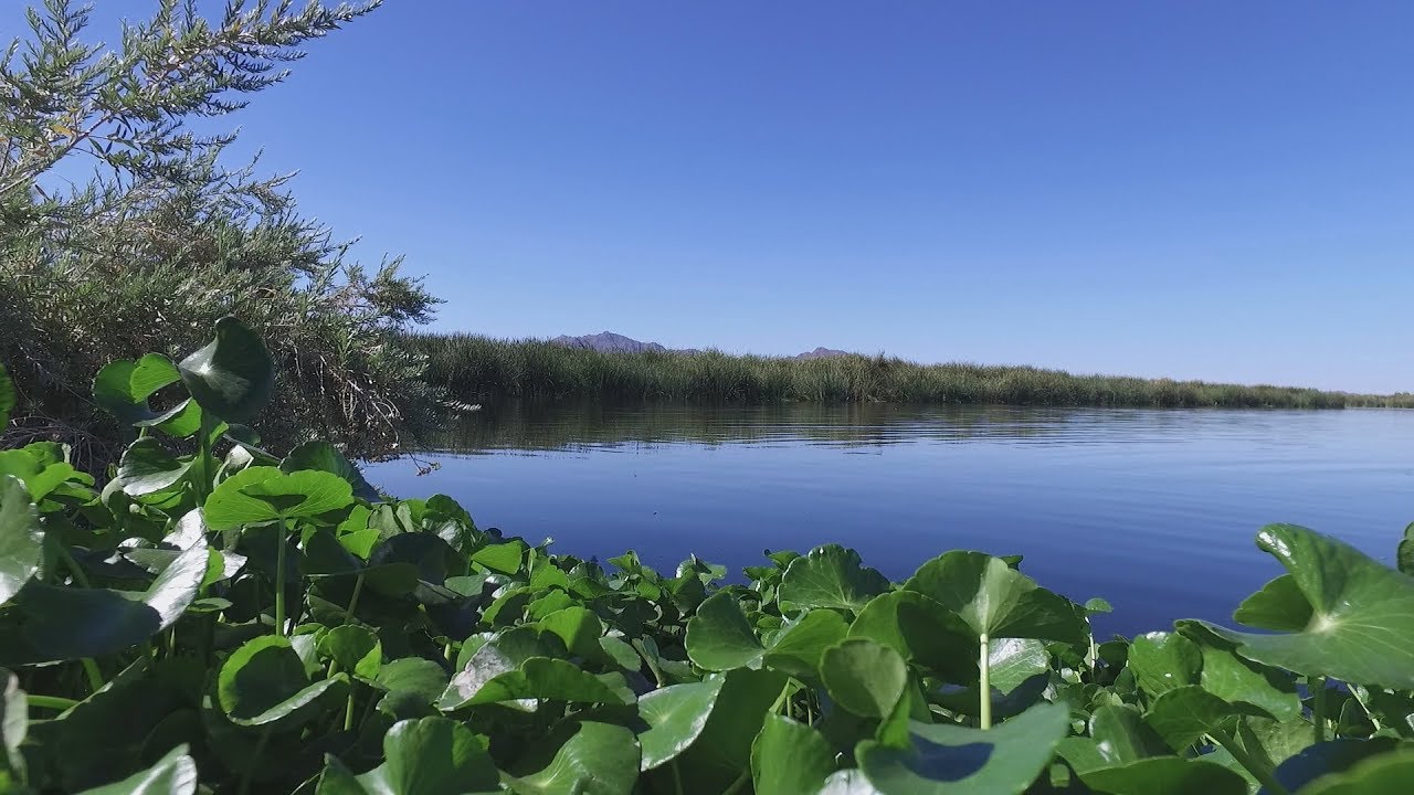 city-of-phoenix-and-the-plan-for-100-years-of-safe-drinking-water-youtube