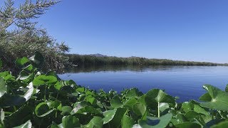 City of Phoenix and the Plan for 100 Years of Safe Drinking Water