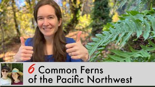 Your Guide to 6 Common Ferns of the Pacific Northwest…PLUS the Top Fern-filled Hikes You Can't Miss!