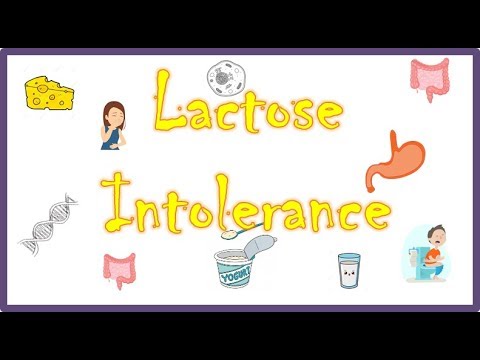 Video: Lactase Deficiency In Children And Adults - Symptoms, Treatment