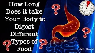 How long does it take your body to digest different types of food? | Mike Burnell