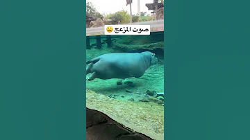 صوت مزعج جدا جدا 