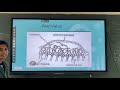 PATh171, Lec 39. Acervular Imperfect Fungi by Jyothi Sri Divya R