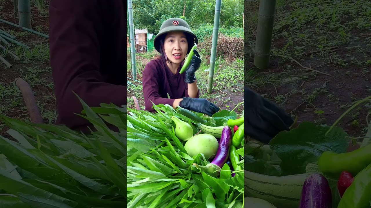 Có gì sáng nay #minivlog