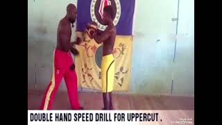 Taekwondo Kickboxing Basic Punching Drills