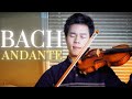 &quot;Andante&quot; Bach: Violin Sonata no.2 in A minor BWV 1003 (4K)