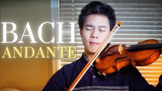 Andante Bach: Violin Sonata no.2 in A minor BWV 1003 (4K)