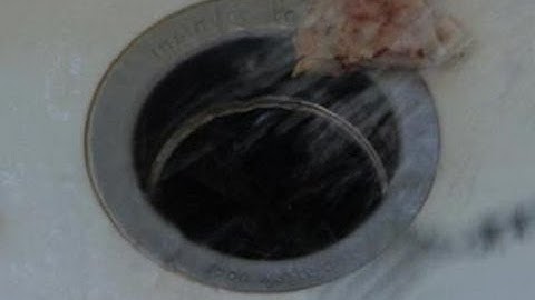 How To Clean Your Garbage Disposal