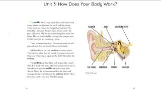 Unit 3 Chapter 8 Ears and Hearing CKLA 3rd grade