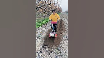 Gasoline micro-tillage machine Gasoline weeder Small gasoline micro-tillage machine.