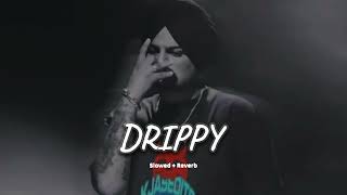 Drippy (slowed + reverb)- Sidhu Moose Wala | new Punjabi song 2024 | KL Lofi