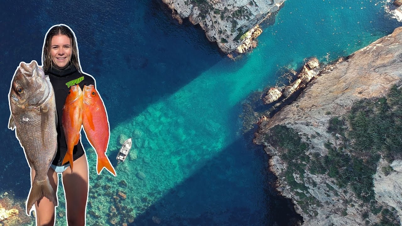 Winter Spearfishing at Mokohinau Islands- Snapper and Pink Maomao