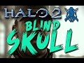 HAL0 2 Anniversary Legendary - Blind Skull - OutSkirts