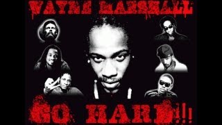 Wayne Marshall Ft. Damian Marley, Aidonia, I Octane, Assassin, Bounty Killer & Vybz Kartel - Go Hard