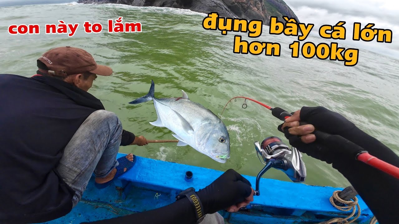 Câu cá sau bão số 12 đụng bầy cá khủng hơn 100kg - phần 1