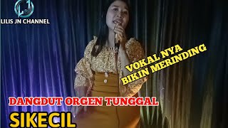 DANGDUT ORGEN TUNGGAL SIKECIL RITA SUGIARTO - COVER LILIS JN