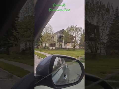 The Area has faced economic stagnation, population decline, and aging infrastructure similar Detroit