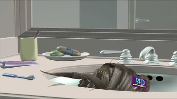 Sink - Terminix 3D HyperReal® Animatic