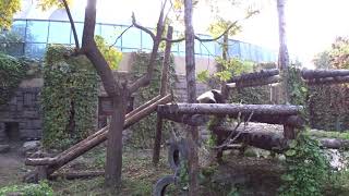 PANDA HOUSE @ Beijing Zoo, China(9)