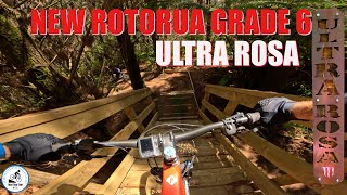 New Rotorua grade 6- Ultra Rosa