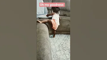 Giving Me Some Plates 