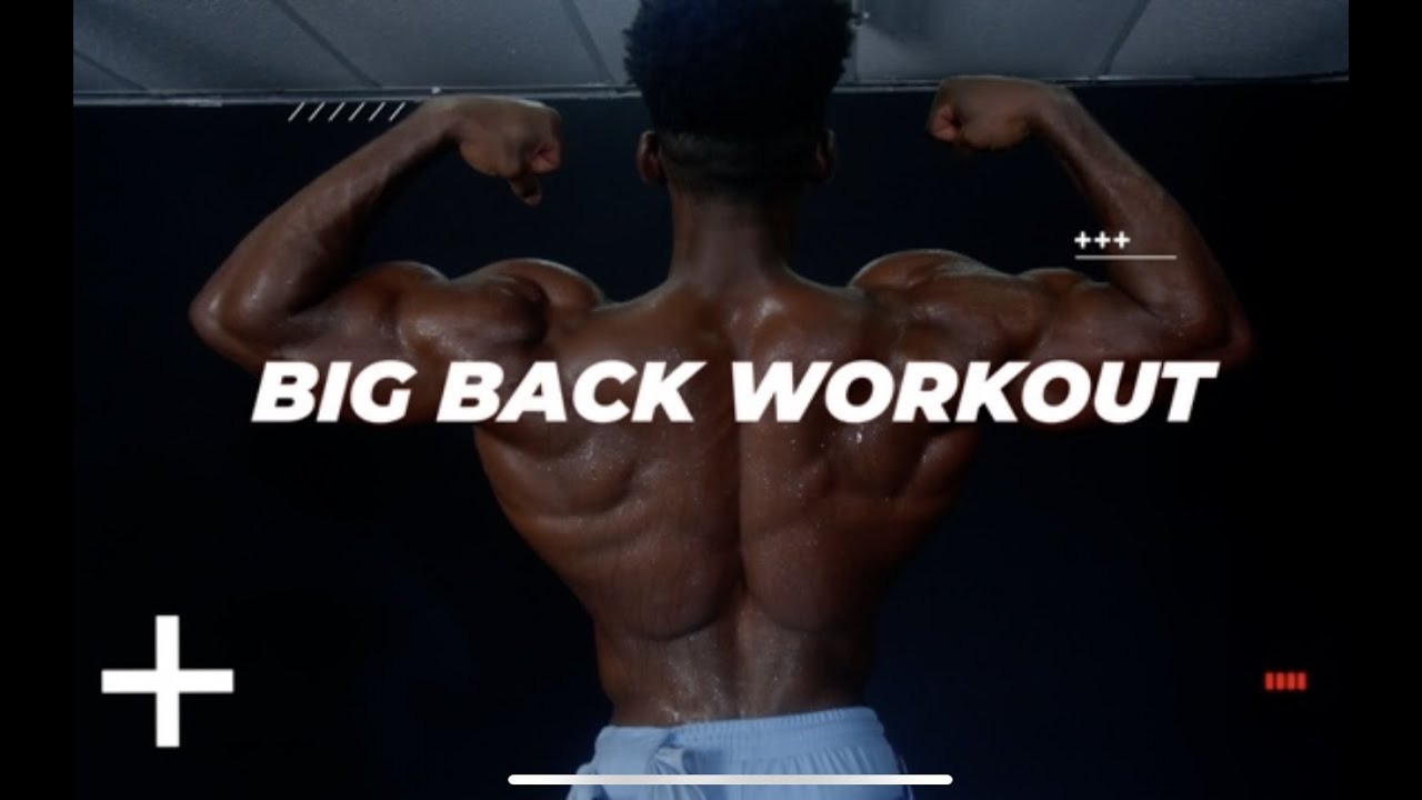 Exercise Anatomy: Back Workout