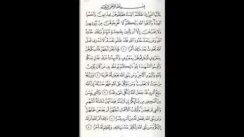 سورة الطلاق ٦٥ خالد الجليل