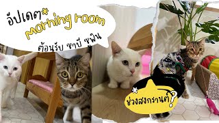 โรงแรมแมวพระราม2 | Kmpcathotel | Morning room ต้อนรับ ซาบี ซูพิน ช่วงสงกรานต์อย่างไร? ep.881