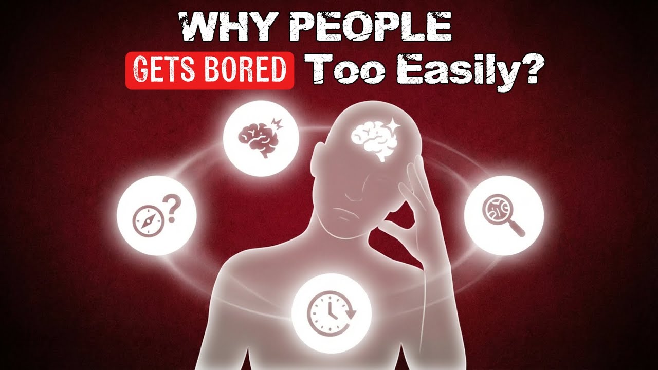 Psychology of High-Stimulation Seekers Having 4 Rare Cognitive Gifts.