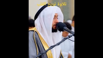 تلاوة هادئة تريح القلب للقارئ احمد النفيس