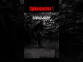 The Best Dinosaureрџ Ґ The Animal I Have Become Three Days Grace Spinosaurus Jurassicpark3 Dinosaure The Best Dinosaureрџ Ґ The Animal I Have Become Three Days Grace Spinosaurus Jurassicpark3 Dinosaure
