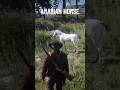 RDR2 Rare White Arabian Horses Location