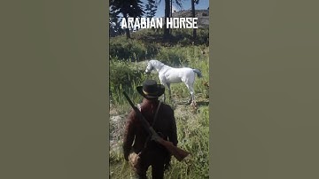 RDR2 Rare White Arabian Horses Location