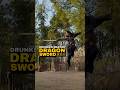 Drunken Master ⚔️ Dragon Sword at Lightning Speed
